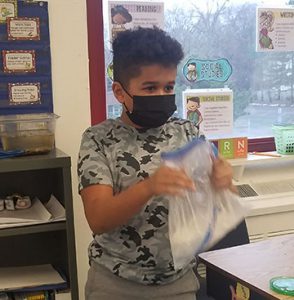 student shakes bags containing cream and sugar and ice to make ice-cream