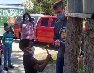 picture of student tapping maple tree