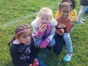 Kindergarten students sit on the field eating apples, smiling and looking at the camera after completing the Apple Run.