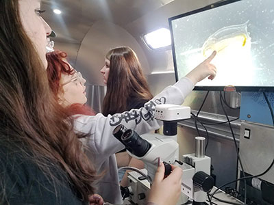 A student points at an image of daphnia projected on a screen as another student operates a microscope nearby on the Bio Bus.  