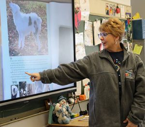 Teachers points to page in the book that is projected on the screen.