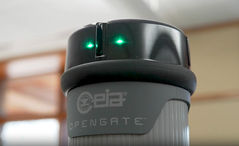 Detection system pillar with illuminated green lights