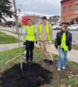 A small group of students stand near a freshly planted tree.