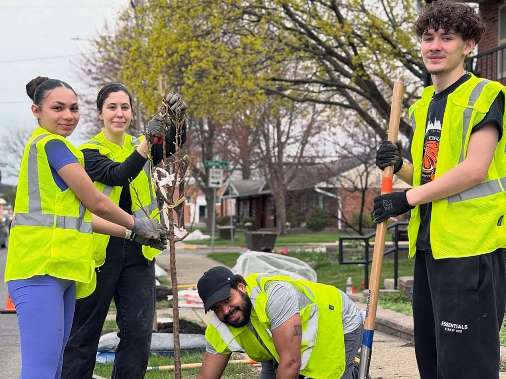 Students and a city worker prepare to plant a tree